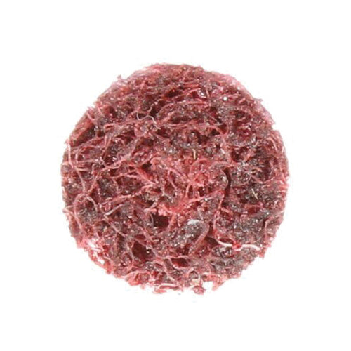 3M SB37802 Scotch-Brite Surface Conditioning Disc, SC-DH, MED, 1/2 in x 1/8 in (1.27 cm x 0.32 cm)